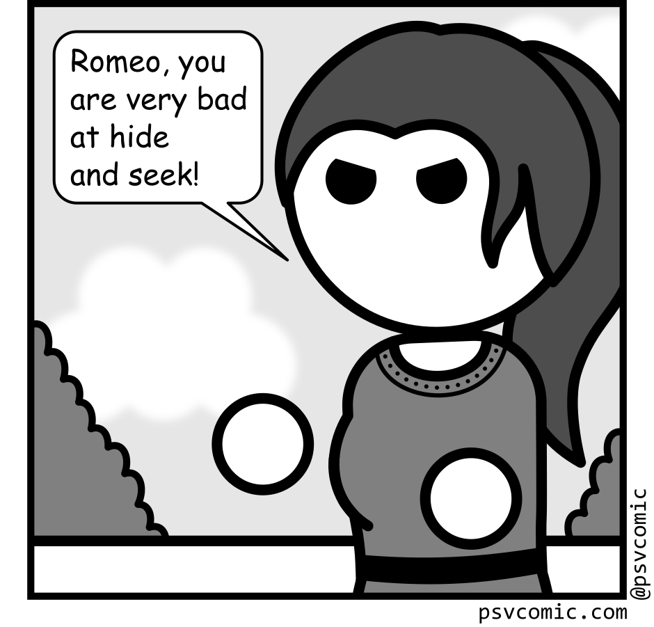 Panel 3